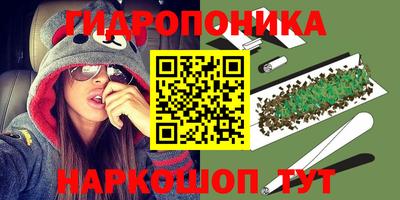PSILOCYBIN Кимры